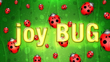 Joy Bug