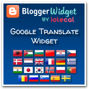 Google Translate Widget