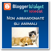 Non abbandonate gli animali