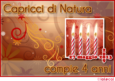 4 anni con Capricci di Natura