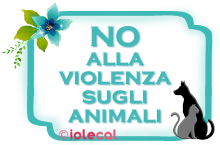 No alla violenza sugli animali no violenza sugli animali